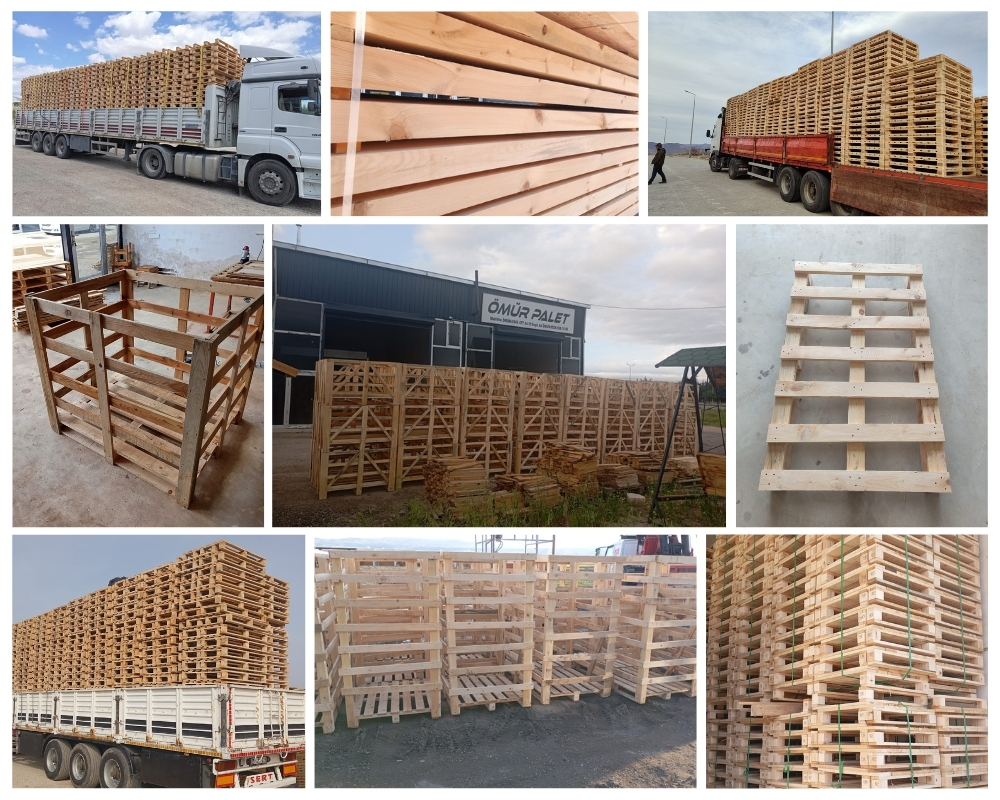 Scheveningen Houten Kisten, Europallets Groothandel Kopen
